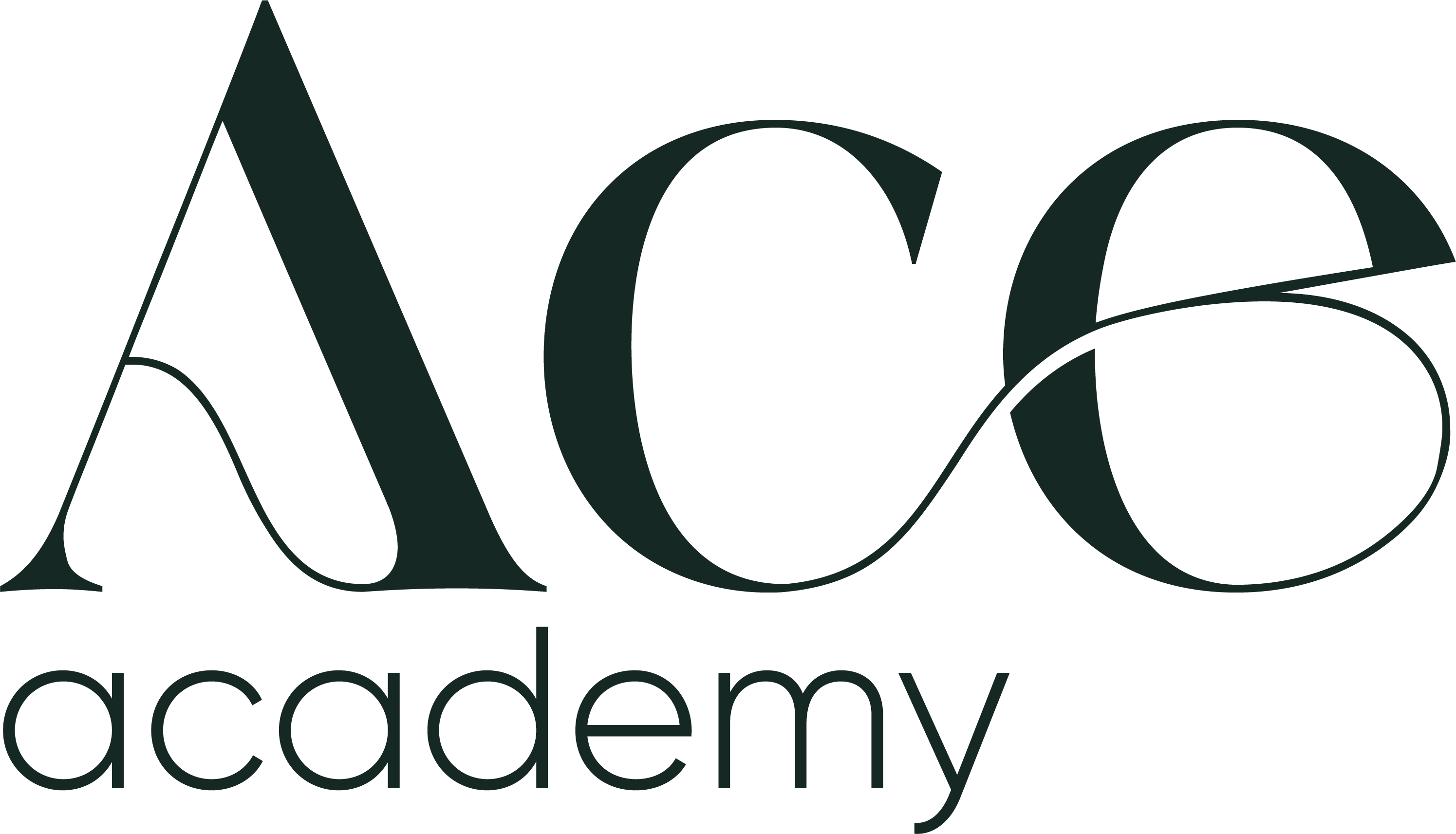 ACE ACADEMY